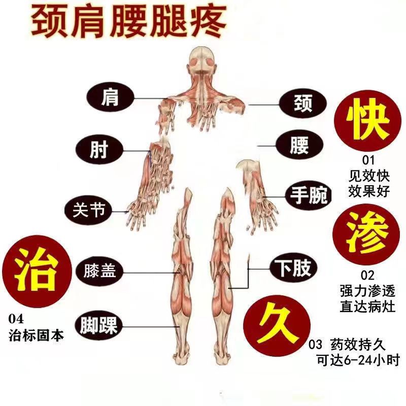 金牌一条根4.jpg