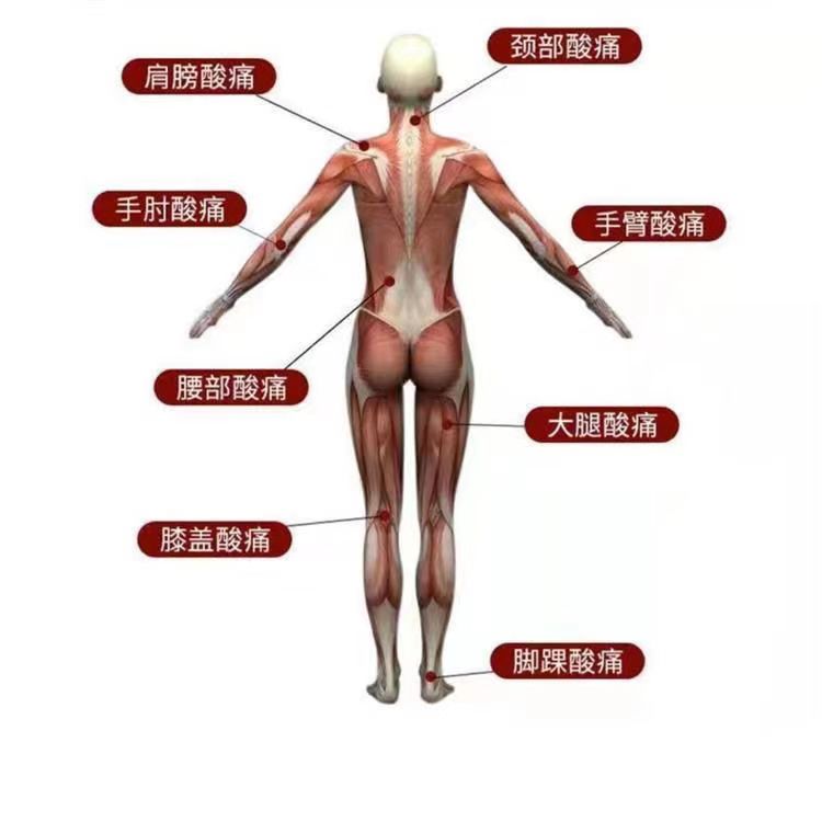 金牌一条根9.jpg
